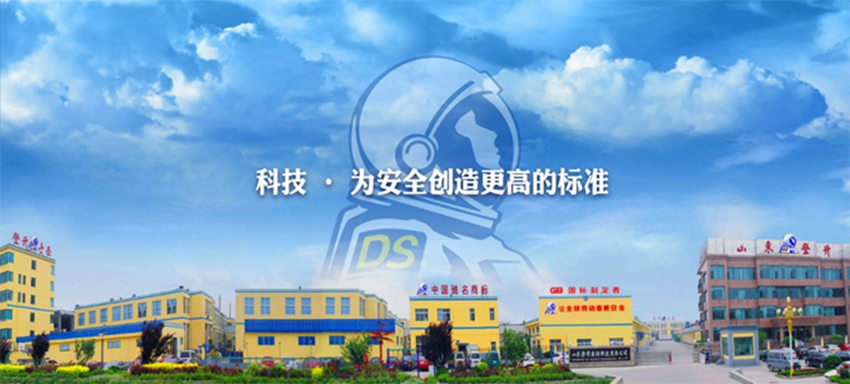 山東登升安防科技有限公司